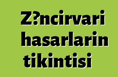 Zəncirvari hasarların tikintisi