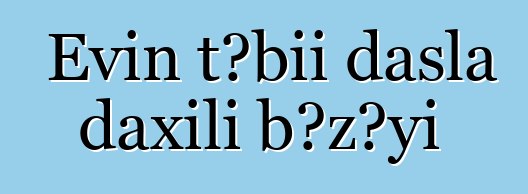 Evin təbii daşla daxili bəzəyi