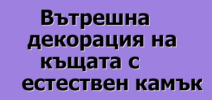 Вътрешна декорация на къщата с естествен камък