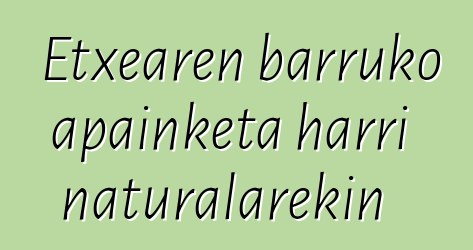 Etxearen barruko apainketa harri naturalarekin