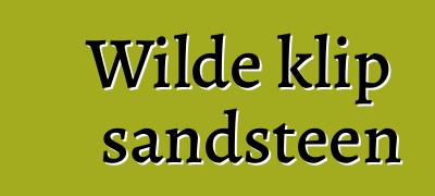 Wilde klip sandsteen