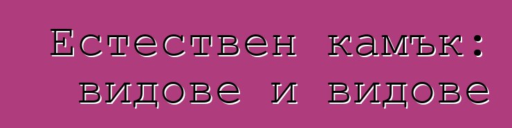 Естествен камък: видове и видове