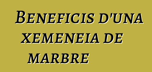 Beneficis d'una xemeneia de marbre