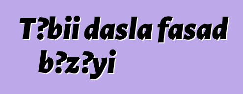 Təbii daşla fasad bəzəyi