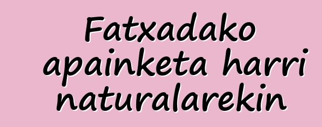 Fatxadako apainketa harri naturalarekin