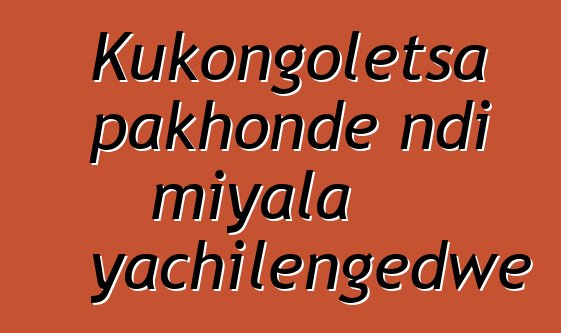 Kukongoletsa pakhonde ndi miyala yachilengedwe