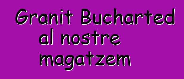 Granit Bucharted al nostre magatzem