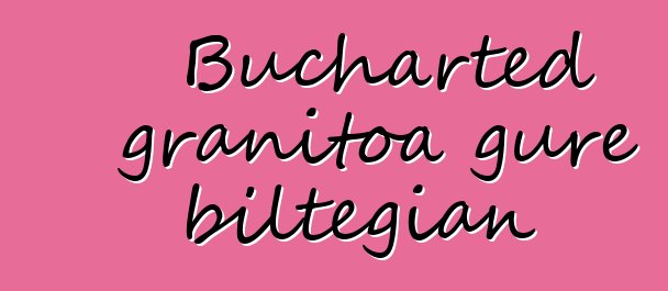 Bucharted granitoa gure biltegian