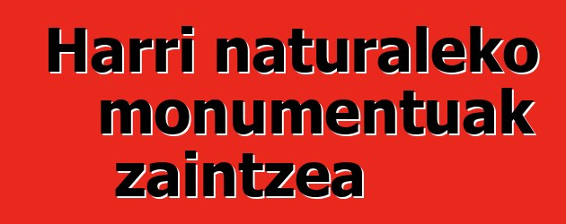 Harri naturaleko monumentuak zaintzea