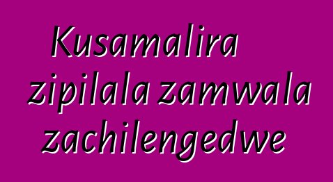 Kusamalira zipilala zamwala zachilengedwe