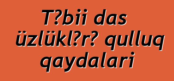 Təbii daş üzlüklərə qulluq qaydaları