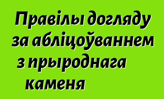 Правілы догляду за абліцоўваннем з прыроднага каменя