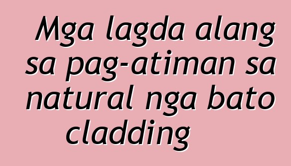 Mga lagda alang sa pag-atiman sa natural nga bato cladding