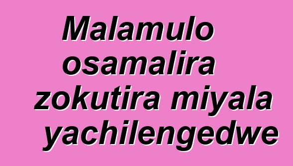 Malamulo osamalira zokutira miyala yachilengedwe