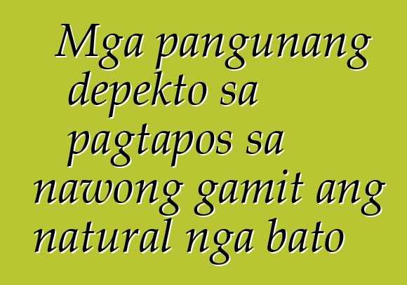 Mga pangunang depekto sa pagtapos sa nawong gamit ang natural nga bato