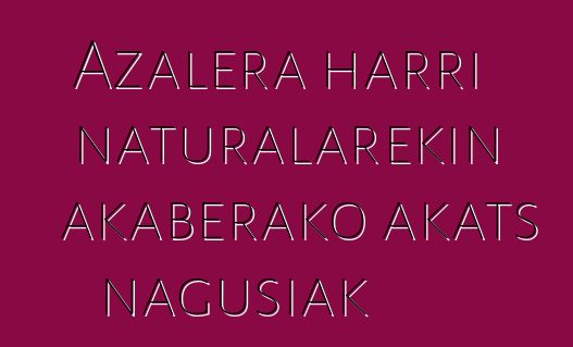 Azalera harri naturalarekin akaberako akats nagusiak