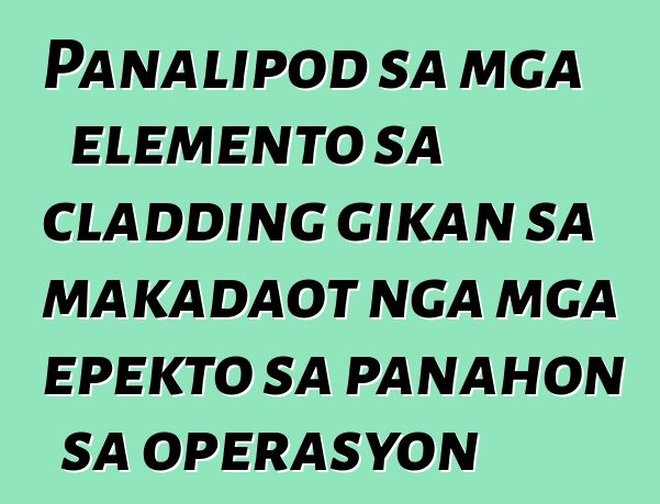 Panalipod sa mga elemento sa cladding gikan sa makadaot nga mga epekto sa panahon sa operasyon