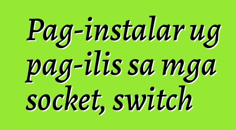 Pag-instalar ug pag-ilis sa mga socket, switch