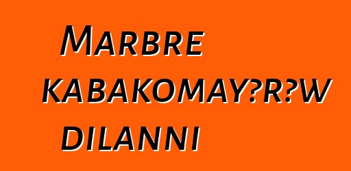 Marbre kabakomayɔrɔw dilanni