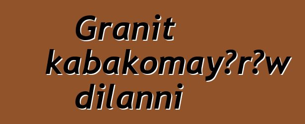 Granit kabakomayɔrɔw dilanni