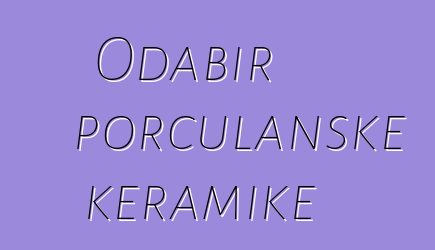 Odabir porculanske keramike