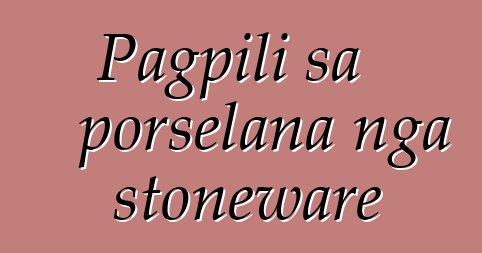 Pagpili sa porselana nga stoneware