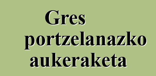 Gres portzelanazko aukeraketa