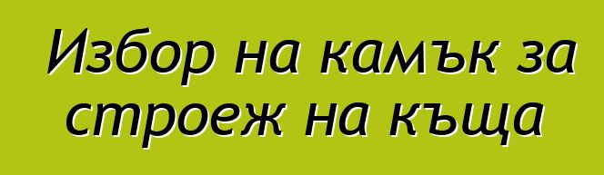 Избор на камък за строеж на къща