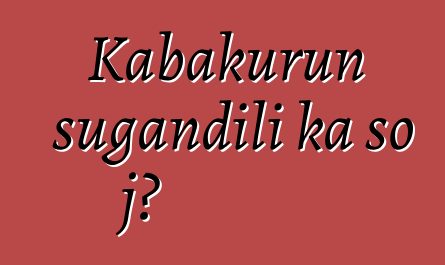 Kabakurun sugandili ka so jɔ