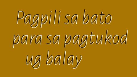 Pagpili sa bato para sa pagtukod ug balay