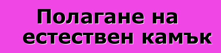 Полагане на естествен камък