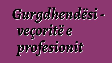 Gurgdhendësi - veçoritë e profesionit