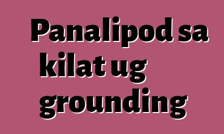 Panalipod sa kilat ug grounding