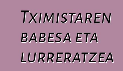 Tximistaren babesa eta lurreratzea