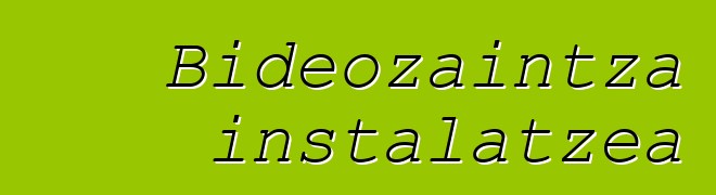 Bideozaintza instalatzea