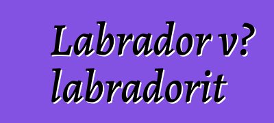 Labrador və labradorit