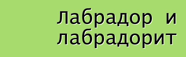 Лабрадор и лабрадорит