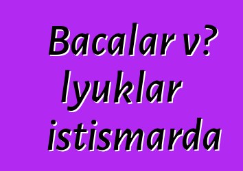 Bacalar və lyuklar istismarda