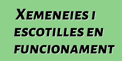 Xemeneies i escotilles en funcionament