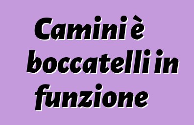 Camini è boccatelli in funzione