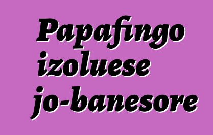 Papafingo izoluese jo-banesore