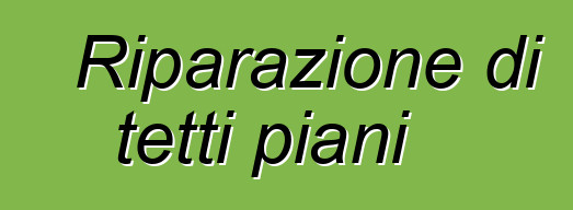 Riparazione di tetti piani