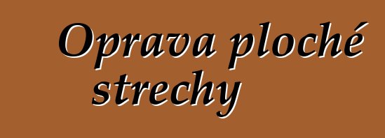 Oprava ploché střechy