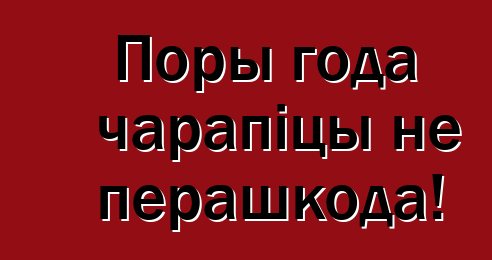 Поры года чарапіцы не перашкода!