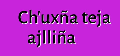 Ch’uxña teja ajlliña