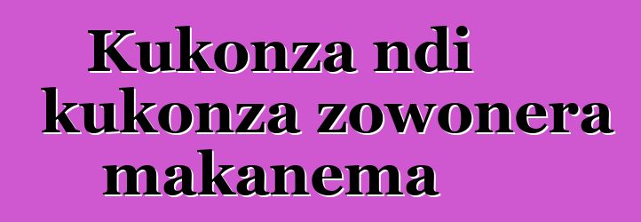 Kukonza ndi kukonza zowonera makanema