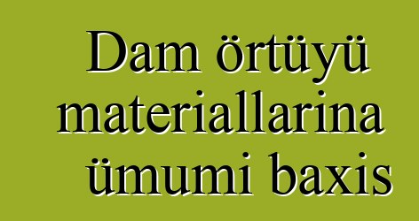 Dam örtüyü materiallarına ümumi baxış