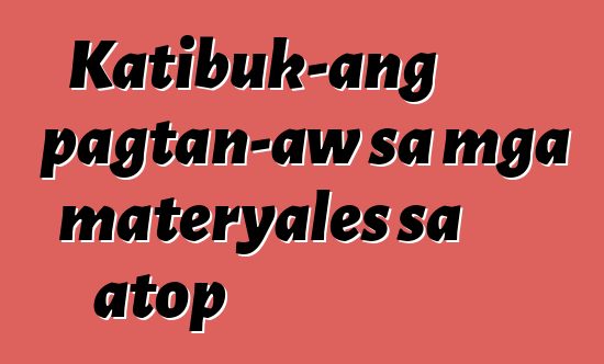 Katibuk-ang pagtan-aw sa mga materyales sa atop