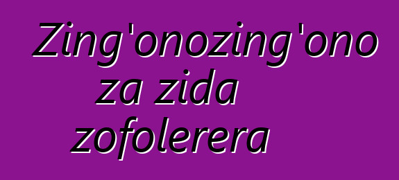 Zing'onozing'ono za zida zofolerera