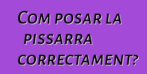 Com posar la pissarra correctament?